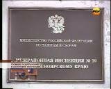 Громкие разоблачения в налоговой инспекции