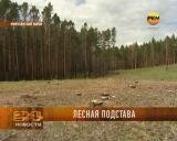 Лесная подстава