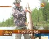 Президентская щука