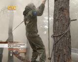 Военно-спортивная игра «Орлёнок»