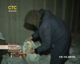 Аномалия с поличным