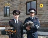 Полицейские спасли кота