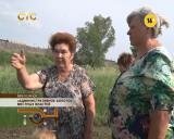 «Административное болото» местных властей